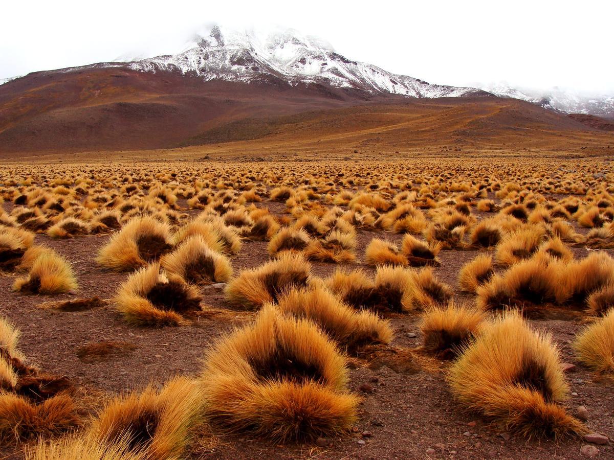 Hotel Maray Copiapó Exteriér fotografie